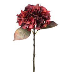 Hydrangea, 48 cm, bordeaux