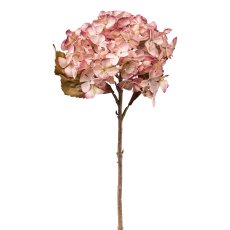 Hortensie, 46 cm, rosa