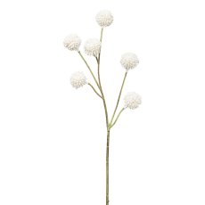 Kugeldistelzweig, 53 cm, weiß