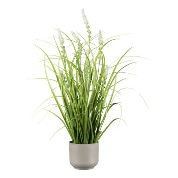 Gras mit Salvien im grauen Melaminetopf, 48 cm