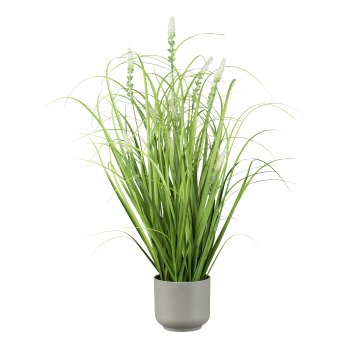 Gras mit Salvien, 60cm, im grauen Melaminetopf