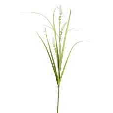 Gras/Salvienzweig, 65 cm, grün