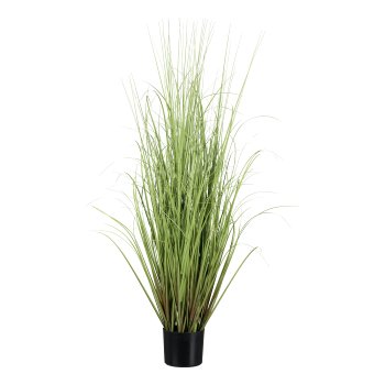 Gras im Topf, 123cm, grün