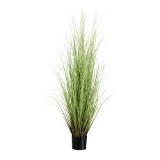 Grass in pot, 155 cm, green