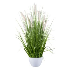 Pennisetum in bowl, 80cm, peach