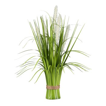 Pennisetum standing grass bush, 48cm, cream