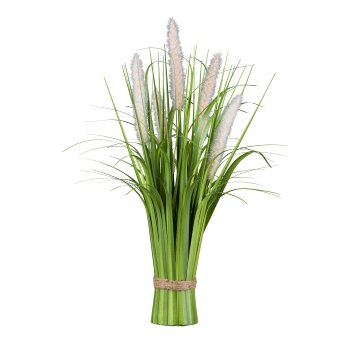 Pennisetum standing grass bush, 48cm, peach