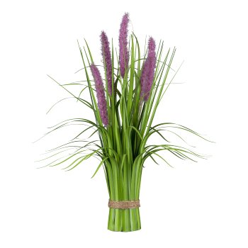 Pennisetum standing grass bush, 48cm, purple