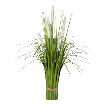 Pennisetum standing grass bush, 64cm, cream