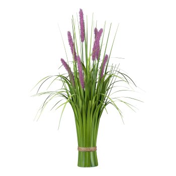 Pennisetum standing grass bush, 64cm, purple