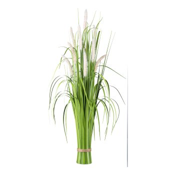 Pennisetum standing grass bush, 89cm, peach
