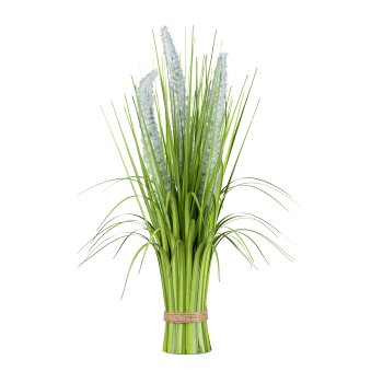 Panicum standing grass bunch, 48cm, white