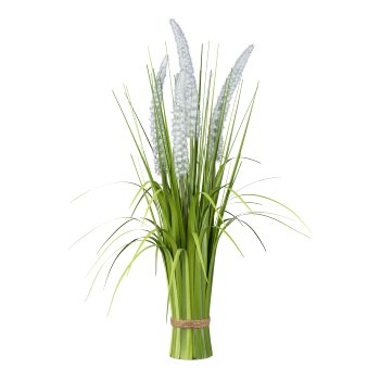 Panicum standing grass bunch, 63cm, white