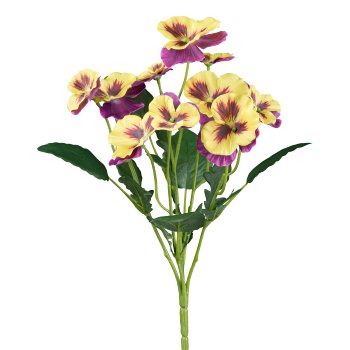 Stiefmütterchenbusch, 34cm, mauve-gelb