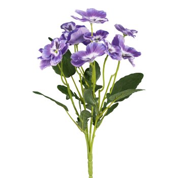Pansy bush, 34cm, purple