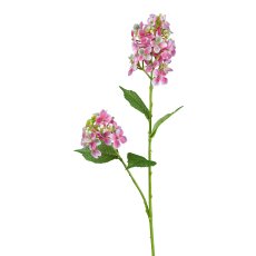 Wildhortensie, 66 cm, rosa