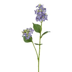 Wild hydrangea, 66 cm, lilac