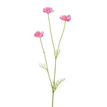 Cosmoszweig, 58cm, rosa