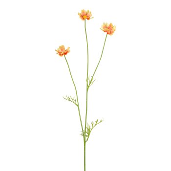 Cosmos Branch, 58cm, orange