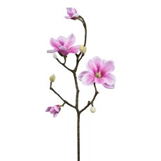 Magnolia, 58cm, dark pink