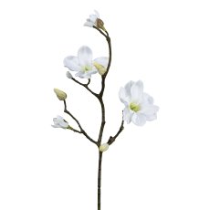 Magnolia, 58cm, white