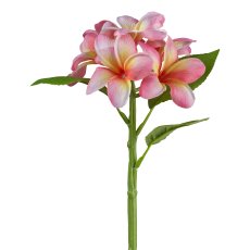 Frangipani x 6, 32cm, rosa