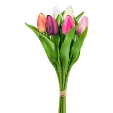 Tulip bunch x 6, 34 cm,