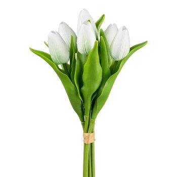 Tulpenbund x 6, 34cm, weiß