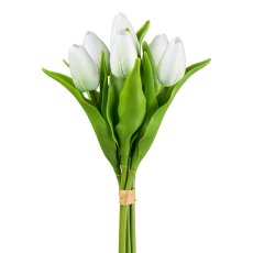 Tulpenbund x 6, 34 cm, weiß