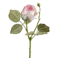 Vintagerose, 45 cm, rosa