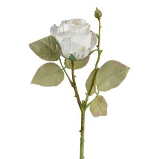 Vintagerose, 45 cm, white