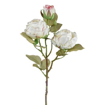 Vintage rose x3, 54cm, cream