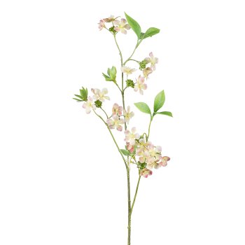 Flowering branch, 60cm, apricot