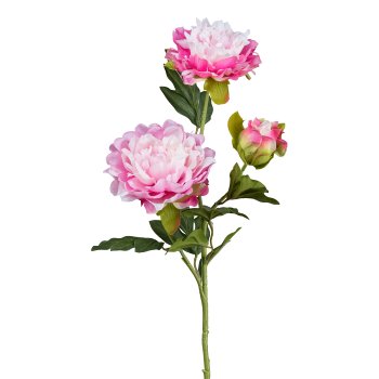 Peony x3, 63cm, pale pink