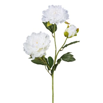 Peony x3, 63cm, white