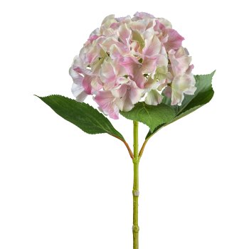 Hydrangea, 66cm, pale pink