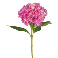Hydrangea, 66 cm, pink