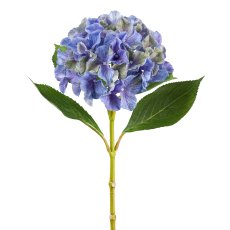 Hydrangea, 66 cm, blue