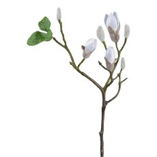 Magnolia, 67 cm, white