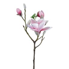 Magnolia, 69cm, antique pink
