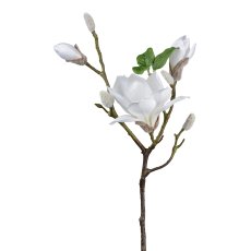 Magnolia, 69cm, white