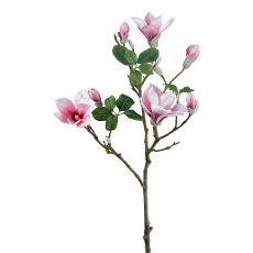 Magnolia, 96 cm, old pink