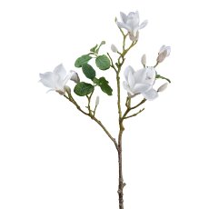 Magnolia, 96 cm, white