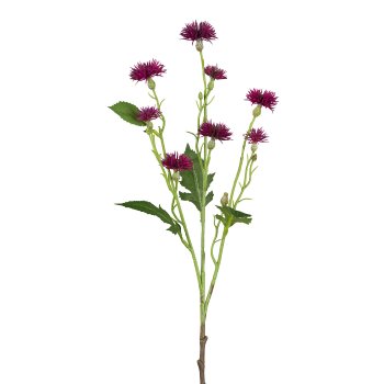 Cornflower branch, 54cm, purple