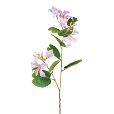 Bauhinia branch, 86.5 cm, pink