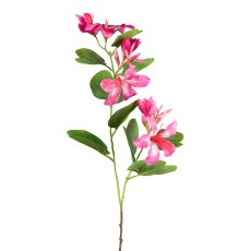 Bauhinia branch, 86.5 cm, pink