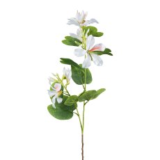 Bauhiniazweig, 86,5 cm, creme