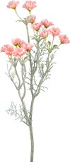 Marguerite branch, 55cm, peach