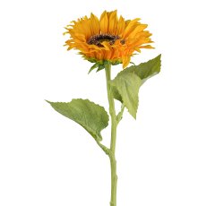 Sonnenblume, 48 cm, gelb