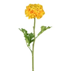 Ranunculus, 46 cm, yellow
